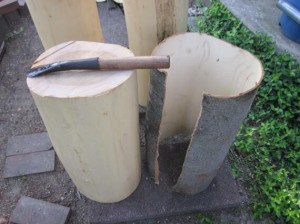 皮むき後のケヤキ