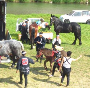 草を食べる馬コたち