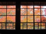 外の紅葉