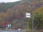 紅葉盛りの湯田インター