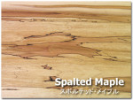 スポルテッドメープル